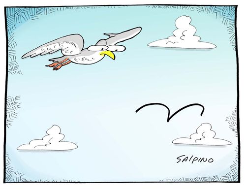 Real bird meets a cartoon bird.