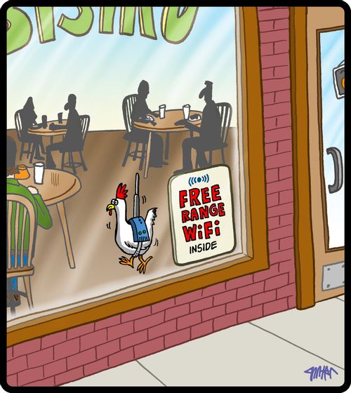 Free Range Wifi.
