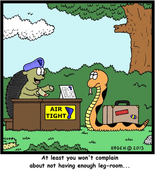 'At least you won't complain about not having enough leg-room...'