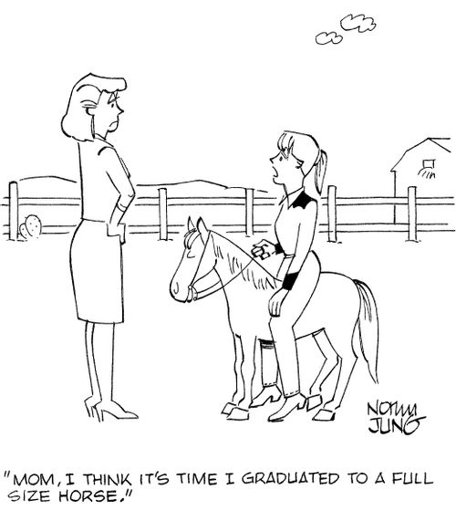 'Mom, I think it's time I graduated to a full size horse.'