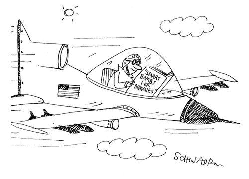 'Smart Bombs For Dummies.'