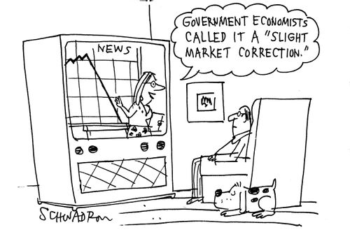 'Government economists called it a 'slight market correction'.'