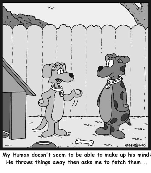 'My Human doesn't seem to be able to make up his mind: He throws things away then asks me to fetch them...'