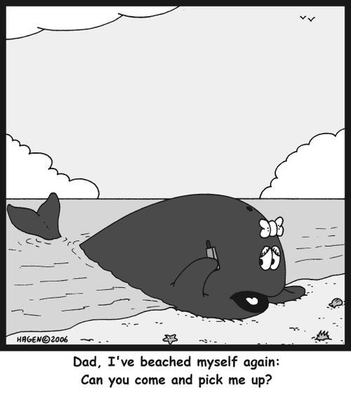 'Dad, I've beached myself again: Can you come and pick me up?'