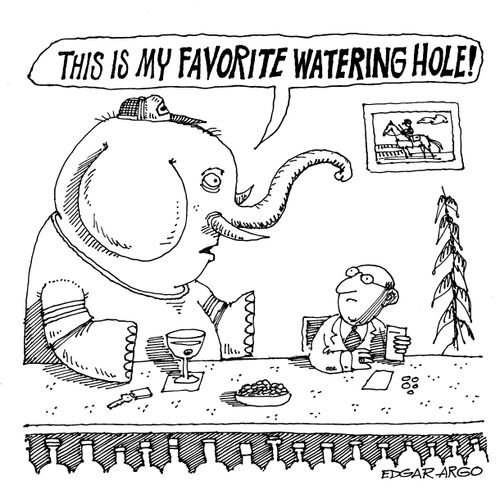 'This is my favourite watering hole!'
