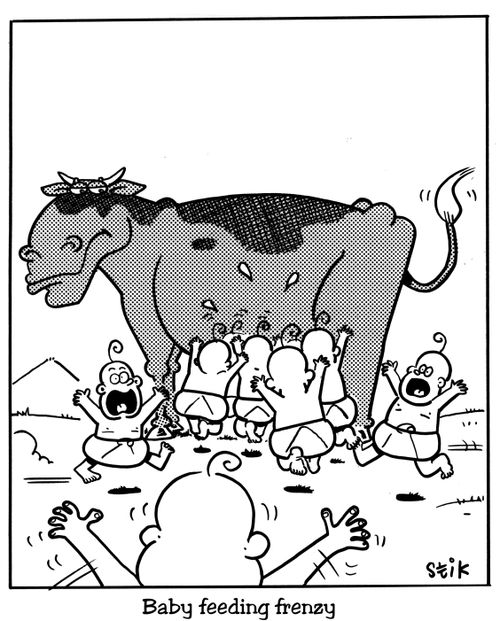 Baby feeding frenzy