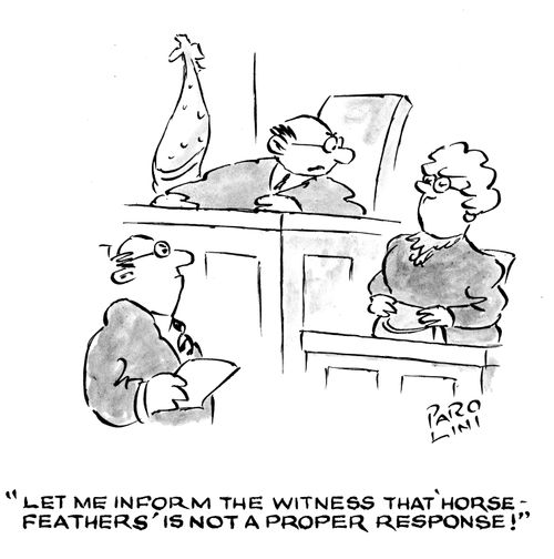 'Let me inform the witness that 'horse-feathers' is not a proper response!'