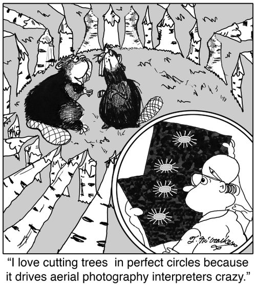 'I love cutting trees in perfect circles because it drives aerial photography interpreters crazy.'