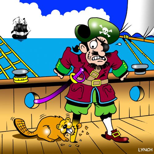 Pirate's beaver problems,