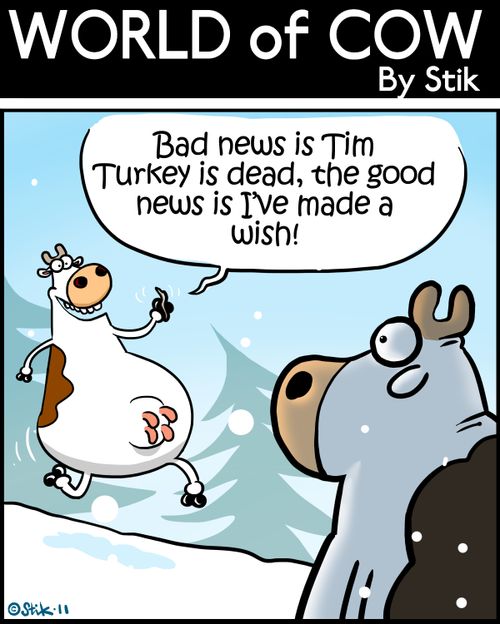 'Bad news is Tim Turkey is dead, the good news is I've made a wish!'