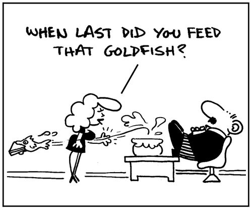 'When last did you feed that goldfish?'