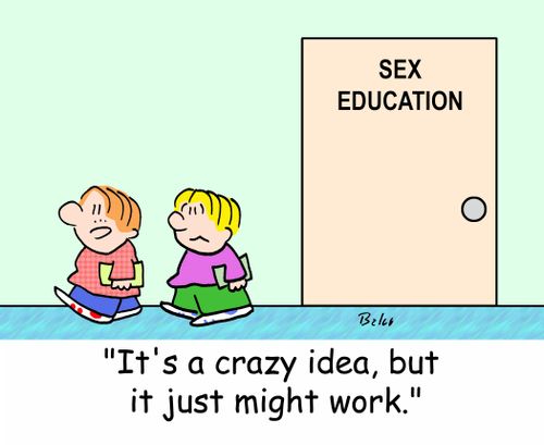 SEX EDUCATION, 'It's a crazy idea, but it just might work.'