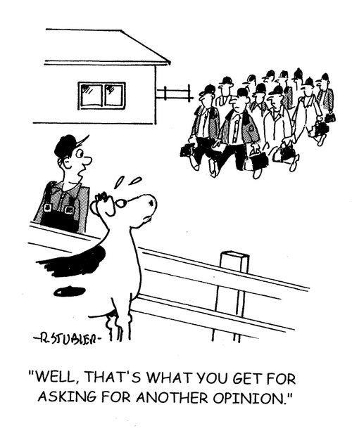 'Well, that's what you get for asking for another opinion.'
