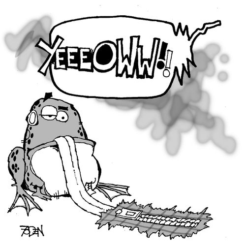 Frog gets the Fly. Ouch