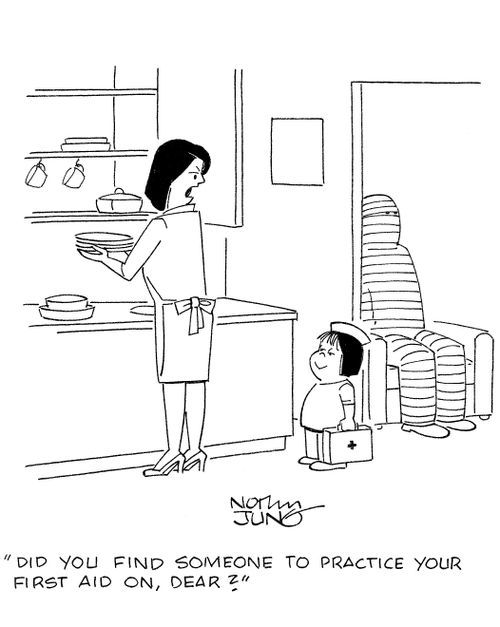 'Did you find someone to practice your first aid on, dear?'