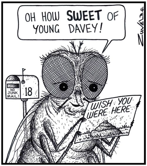 'Oh how SWEET of young Davey!' 