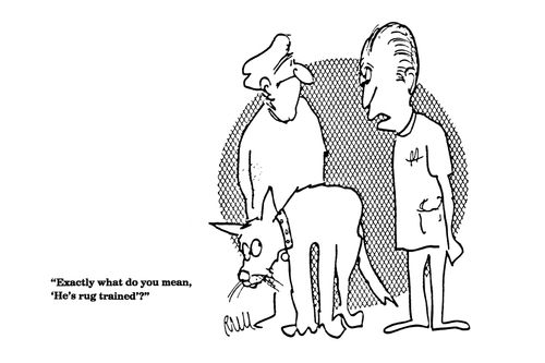 'Exactly what do you mean, 'He's rug trained'?'