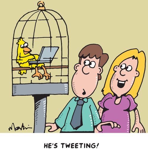 'He's tweeting!'