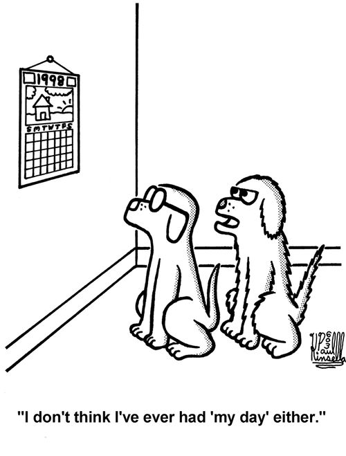 'I don't think I've ever had 'my day' either.' (Every dog has its day.)