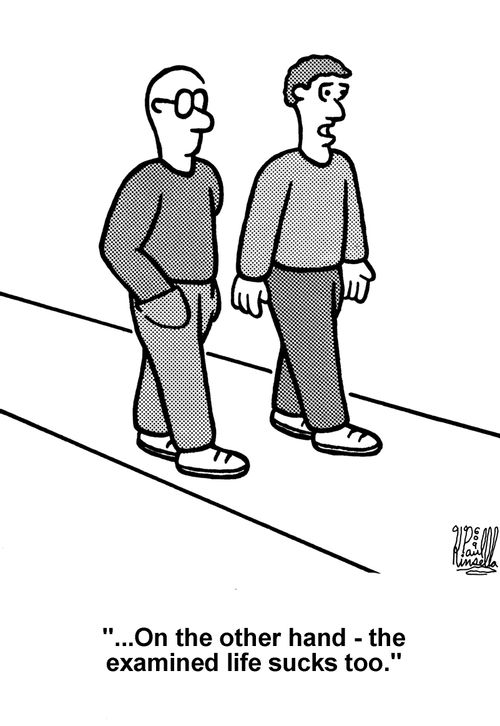'...On the other hand - the examined life sucks too.' 