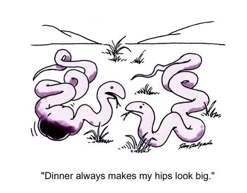 'Dinner always makes my hips look big.'