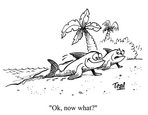 'Ok, now what?'