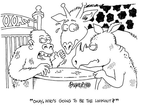 'Okay, who's going to be the lookout?'