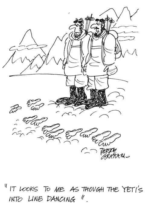 'It looks as though the Yeti's into line dancing.'