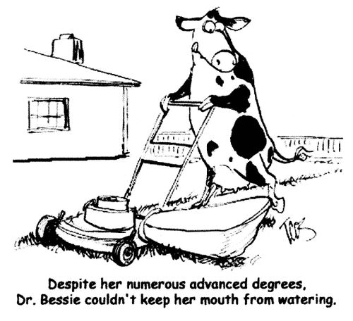 'Despite her numerous advanced degrees, Dr.Bessie couldn't keep her mouth from watering.'