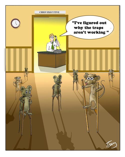 "I've figured out why the traps aren't working."
