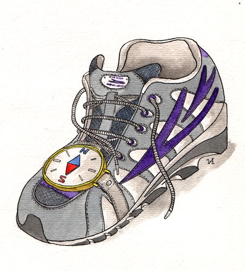 Compass on Trainers