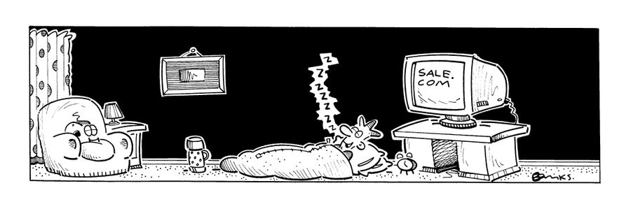 Nethead strip: Sale.com