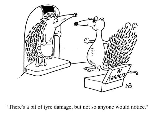 Carpet salesman, "There's a bit of tyre damage, but not so anyone would notice."