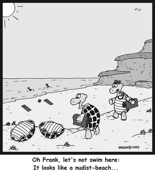 'Oh Frank, let's not swim here: It looks like a nudist-beach...'