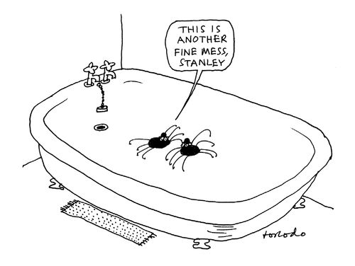 'This is another fine mess, Stanley.'