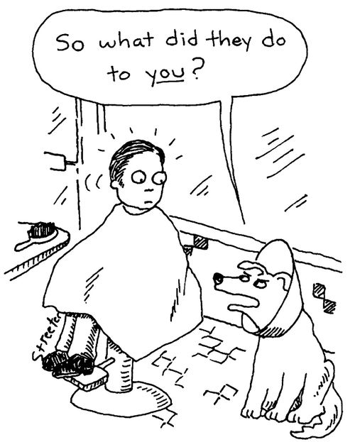 Dog asks 'so what did they do to you?'