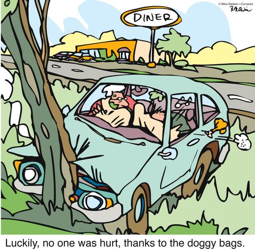 Luckily, no one was hurt, thanks to the doggy bags.