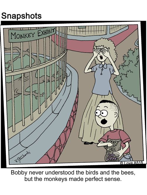 Bobby never understood the birds and the bees, but the monkeys made perfect sense.