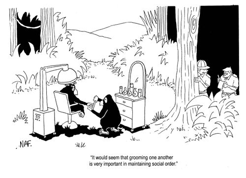 'It would seem that grooming one another is very important in maintaining social order.'