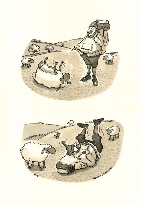 Hiker/Traveller laughing at sheep when on their backs ends up on his back.