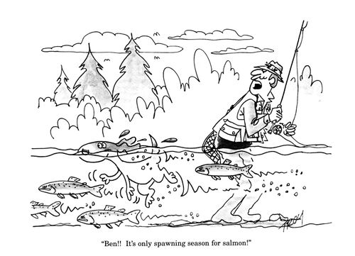 'Ben!! It's only spawning season for salmon!'