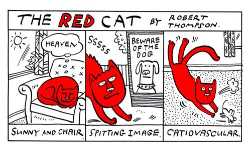 The Red Cat: Sunny and Chair.  Spitting Image.  Catiovascular.