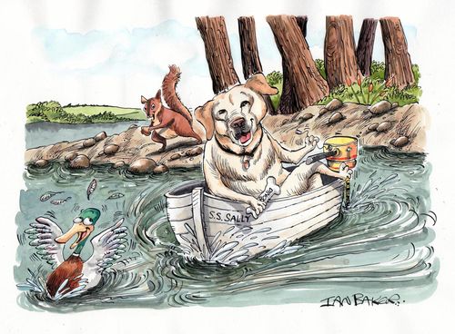 Dog chasing a duck in a motorboat.