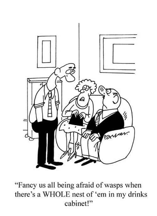 'Fancy us all being afraid of wasps when there's a WHOLE nest of 'em in my drinks cabinet!'