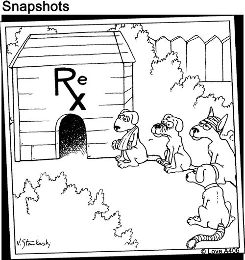 Rex the Dog.