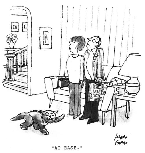 'At ease.'