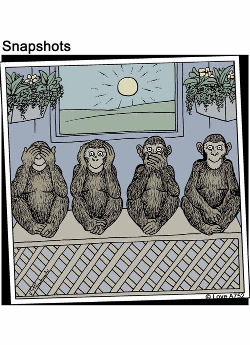 Monkeys.