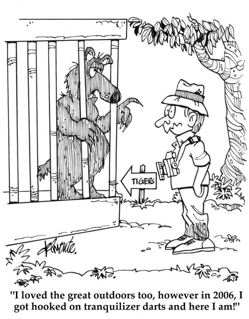 'I loved the great outdoors too, however in 2006, I got hooked on tranquilizer darts and here I am!'