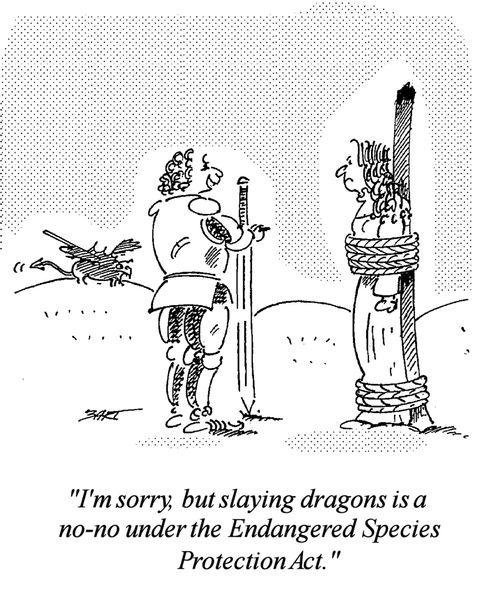 "I'm sorry, but slaying dragons is a no-no under the Endangered Species Protection Act."