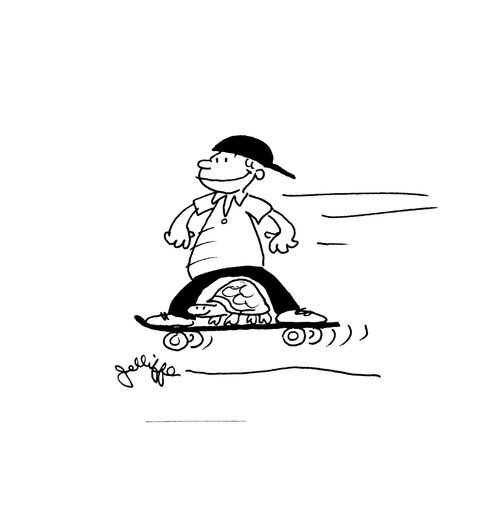 Boy and his turtle on skateboard.